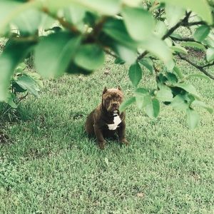 Meet your Posher, Lesley